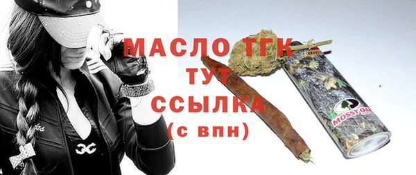 хмурый Белая Холуница