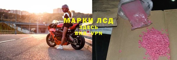 хмурый Белая Холуница