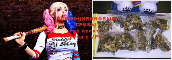 синтетический гашиш Костерёво