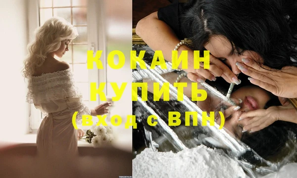 твердый Козловка