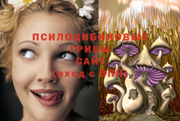 ГАЛЛЮЦИНОГЕННЫЕ ГРИБЫ Козельск