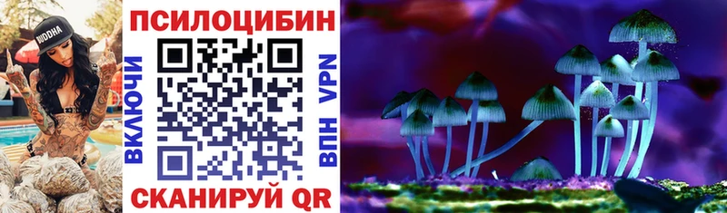 Псилоцибиновые грибы Cubensis  Костомукша 